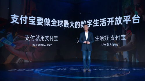 共享出行新變局 美團青桔激戰正酣，哈啰會否徹底投入阿里懷抱？